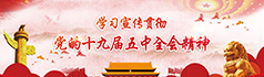 党的十五届五中全会